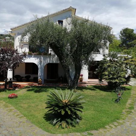 Villa Livia Villammare Bagian luar foto