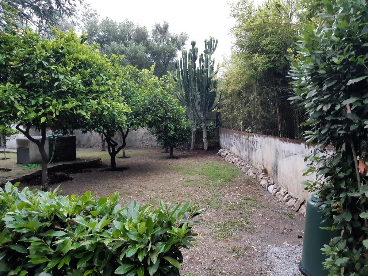 Villa Livia Villammare Bagian luar foto