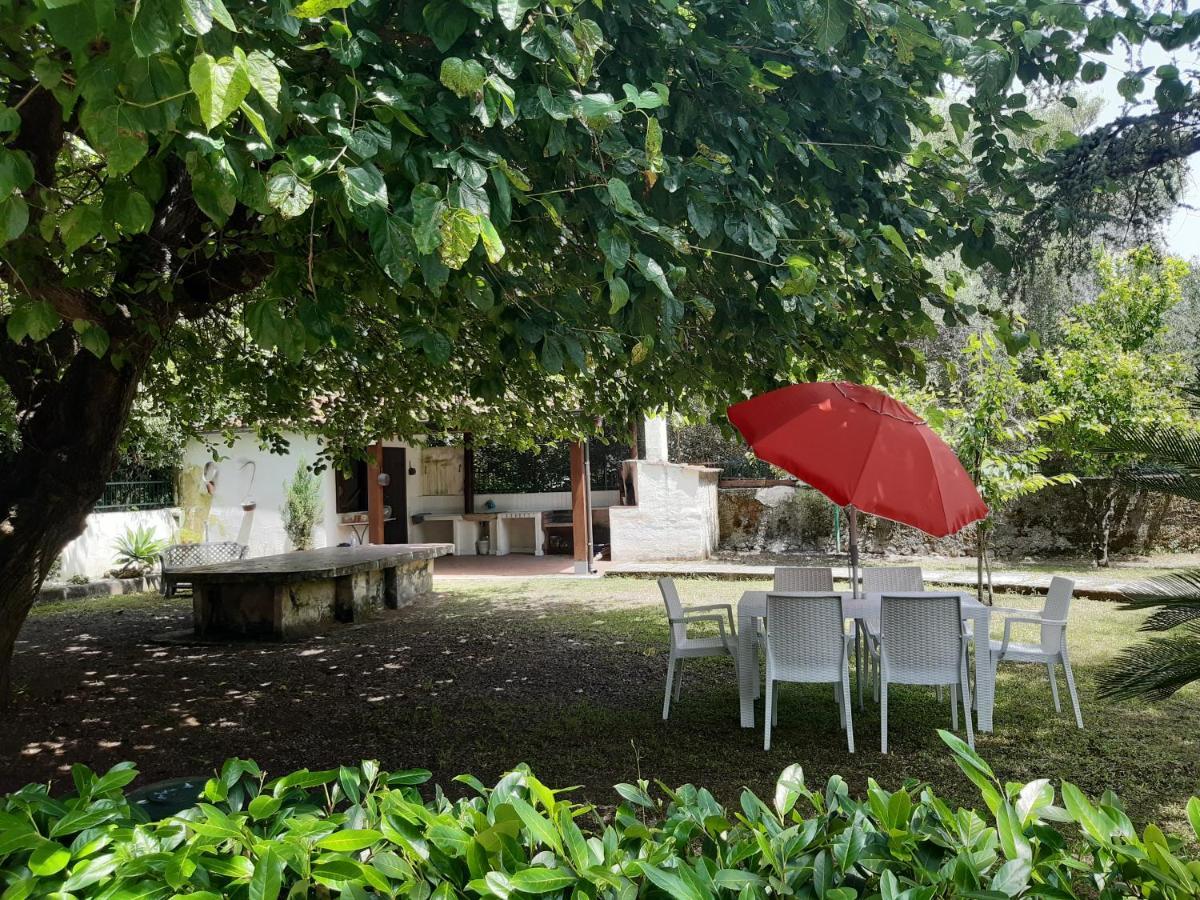 Villa Livia Villammare Bagian luar foto