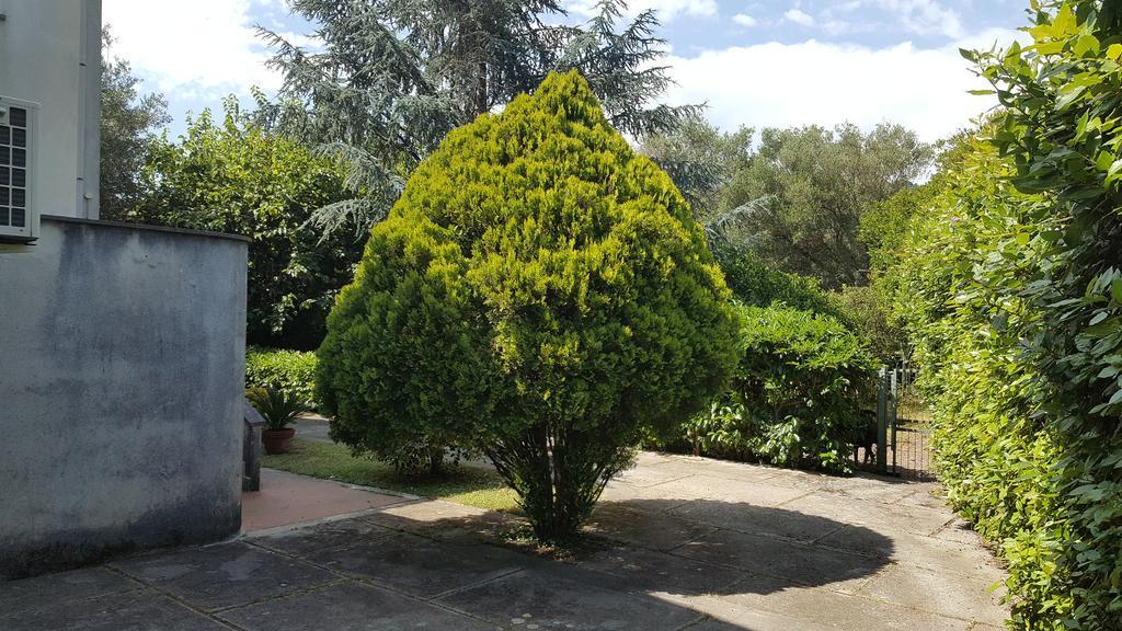 Villa Livia Villammare Bagian luar foto