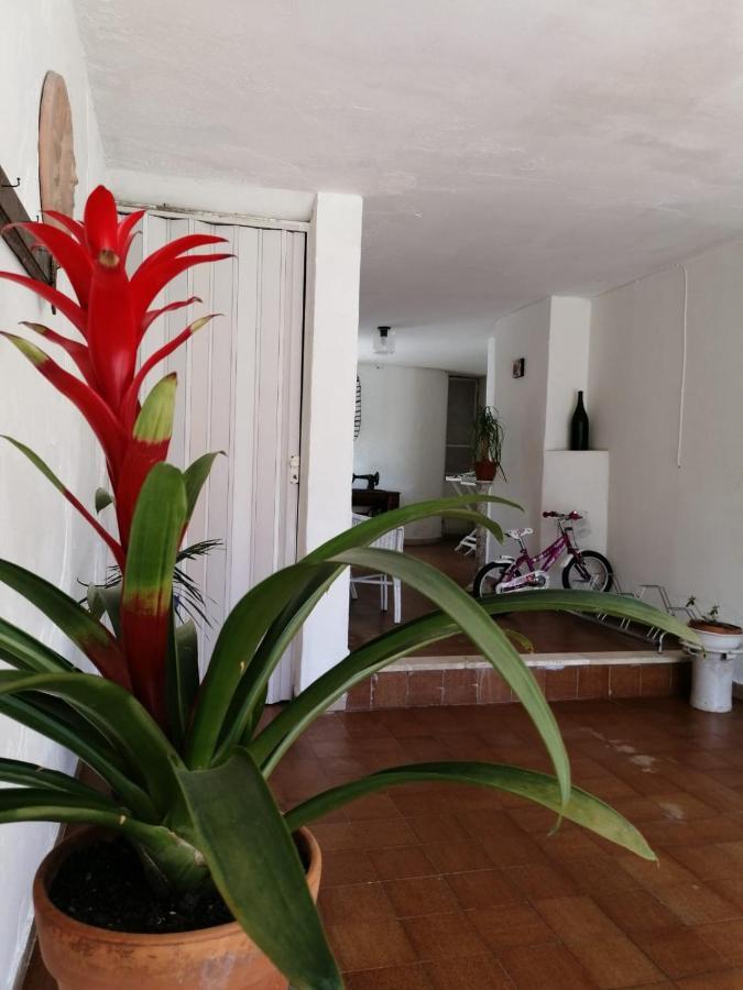 Villa Livia Villammare Bagian luar foto